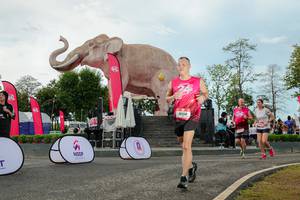 BIB: 
                            <button type="button" onclick="openModal(26529034)" class="btn btn-primary btn-sm float-right btn-popup" data-toggle="modal" data-target=".modal-high-quality">
                        <i class="fas fa-shopping-cart"></i> Add to Cart
                    </button>
                                            <button type="button" onclick="isThisMe(26529034, true)" class="btn btn-success btn-sm float-right btn-popup btn-isme hidden" data-toggle="tooltip" data-placement="bottom" title="นี่คือรูปของคุณใช่ไหม คลิกที่นี่เพื่อเอาเข้าอัลบั้ม">
                        <i class="fas fa-plus"></i> Add to album
                    </button>
                    <button type="button" onclick="isThisMe(26529034, false)" class="btn btn-warning btn-sm float-right btn-popup btn-isnotme hidden">
                        <i class="fas fa-ban"></i> Remove from album
                    </button>